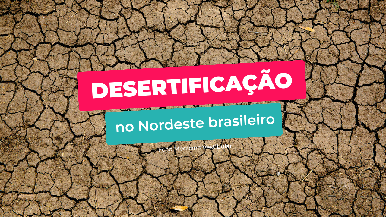 Desertificação no Nordeste: tema de Geografia no Enem