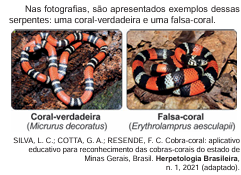 Comparação entre Coral-verdadeira e Falsa-coral