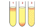Três tubos de ensaio contendo meio de cultura. Tubo 1: bactérias concentradas na superfície e distribuídas ao longo do tubo, mas mais raras no fundo. Tubo 2: bactérias concentradas apenas no fundo. Tubo 3: bactérias distribuídas uniformemente ao longo de todo o tubo.